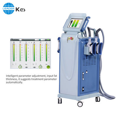 सुरक्षा Cryolipolysis फैट फ्रीज़ स्लिमिंग मशीन सेल्युलाईट कटौती / वजन घटाने के लिए